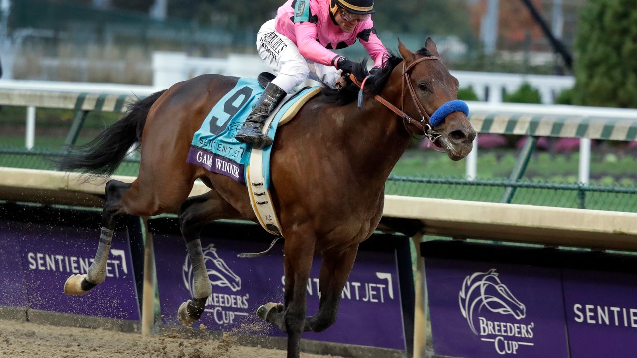 Game Winner takes charge late to win Breeders Cup Juvenile